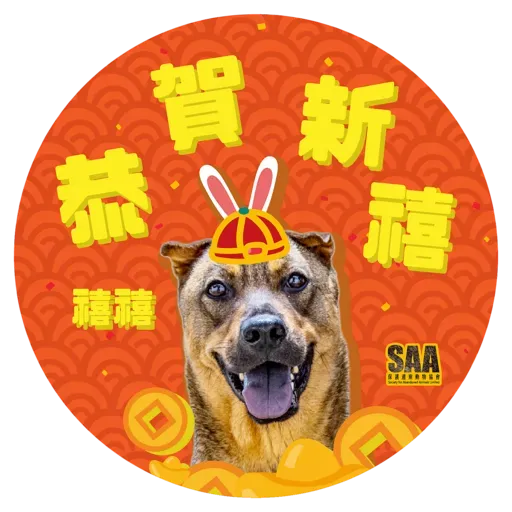 SAA X MARO 兔年特別版 - Sticker 5