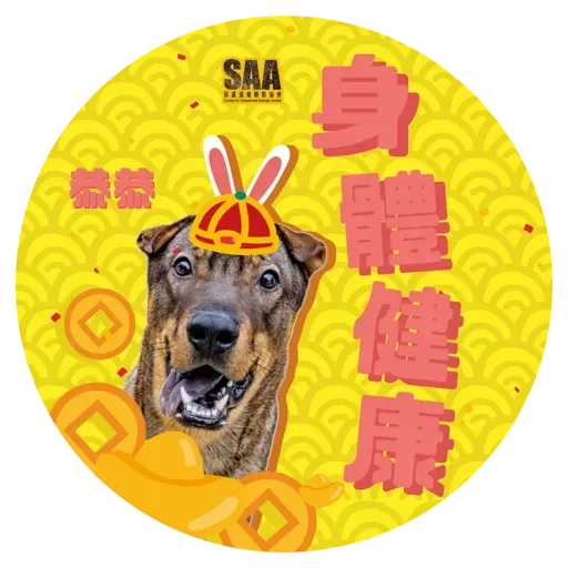 SAA X MARO 兔年特別版 - Sticker 6
