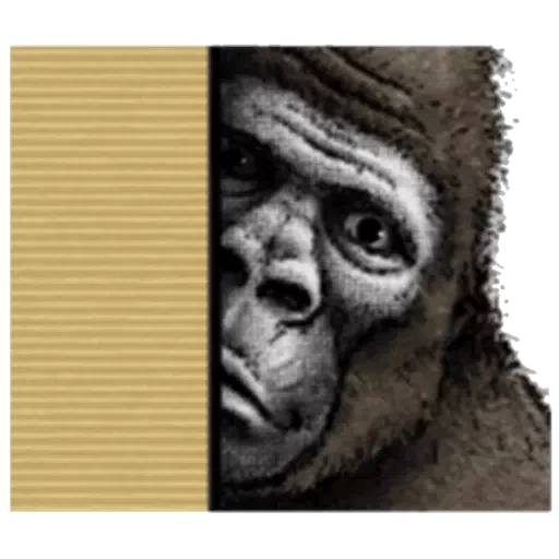 大猩猩 - Sticker 8